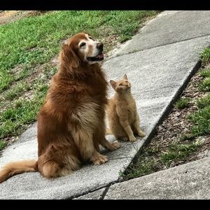 Meet your Posher, Sally